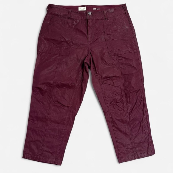 Pilcro Faux Leather Burgundy Pants - Picture 2 of 5